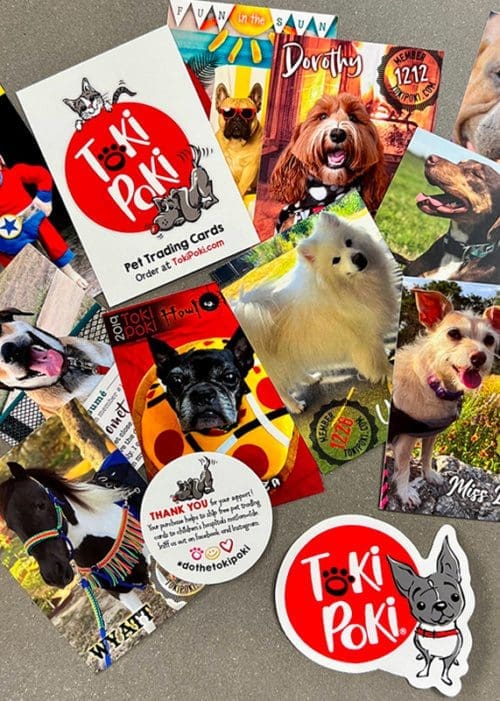 Assorted Toki Poki Pet Trading Cards