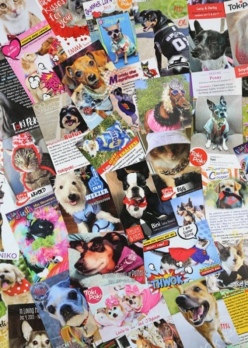 Assorted Toki Poki Pet Trading Cards