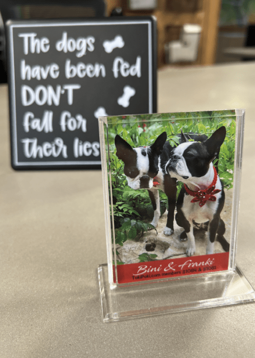 Toki Poki Pet Trading Card Frame