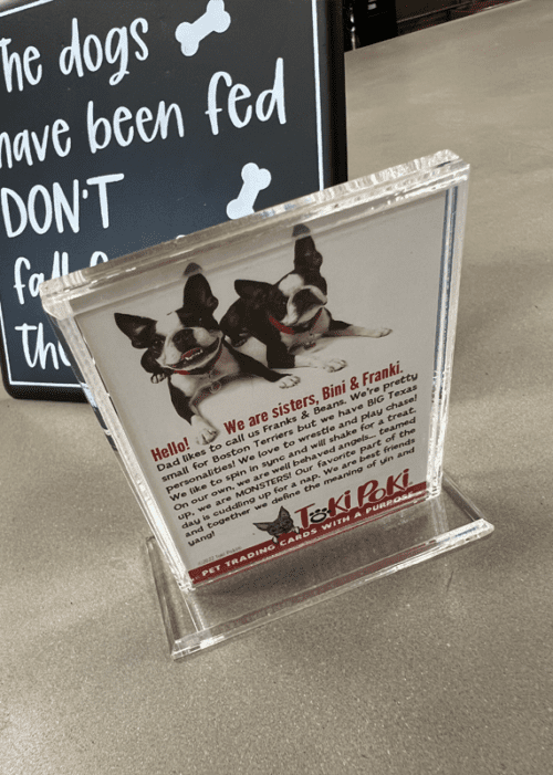 Toki Poki Pet Trading Card Frame