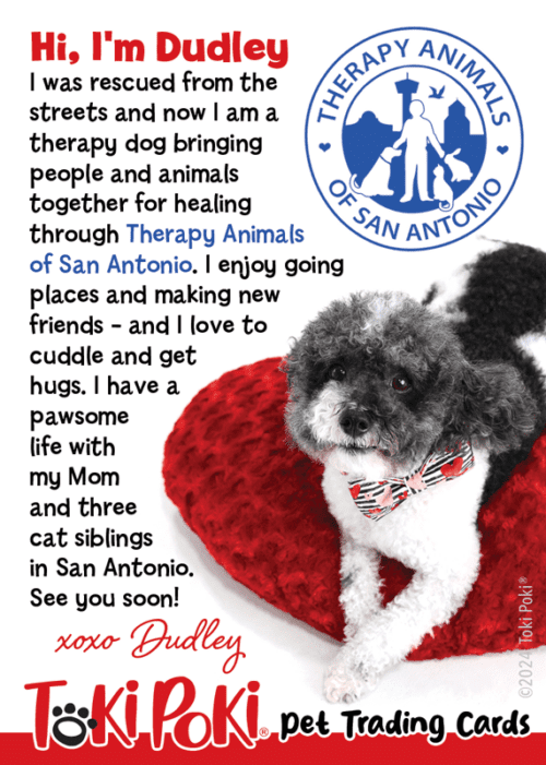 Dudley - Therapy Pet Trading Card