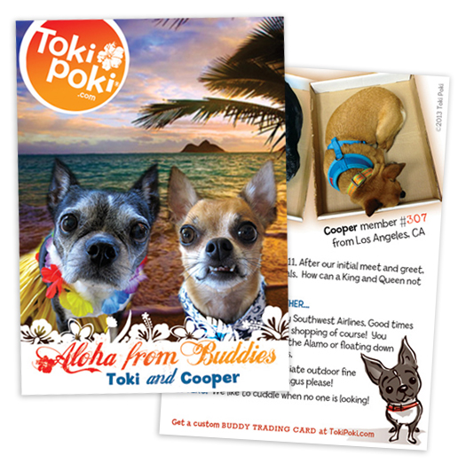 Toki Poki Buddy Pet Trading Cards
