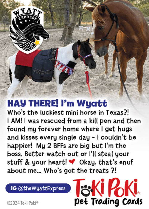 Wyatt - Business Pet Trading Card