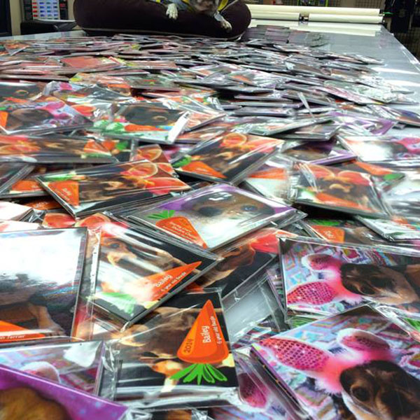 Packing Bunny Hop Trading Cards