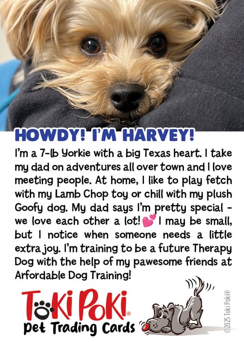 Classic Pet Trading Card for Harvey