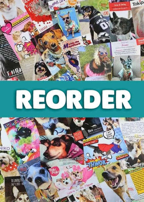 Reorder Toki Poki Pet Trading Cards