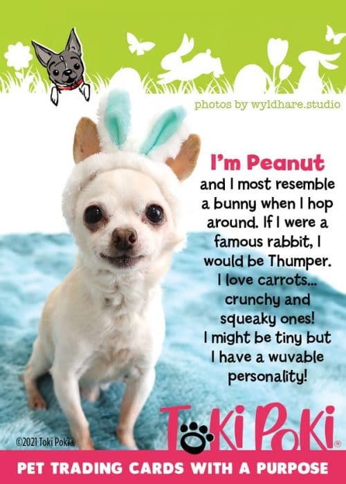 Peanut - Toki Poki Easter Pet Trading Card