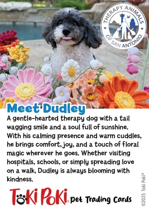 Dudley - Toki Poki Spring Pet Trading Card
